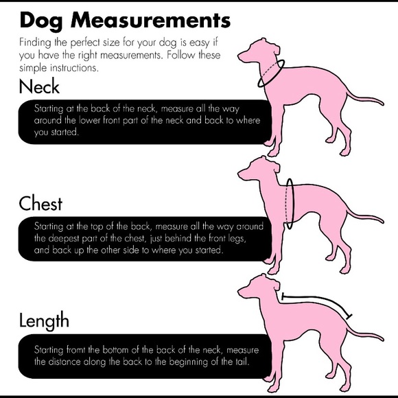 Customization For Dog Sweater Your Breed Vs Everybody Custom Dog Hoodie Apparel - Picture 3 of 3